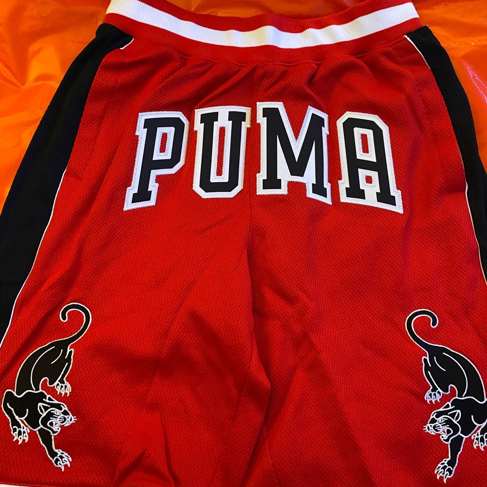 Puma Mesh Shorts Last Dayz Size Small